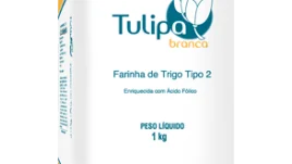 dom-tulipa-tipo2.png